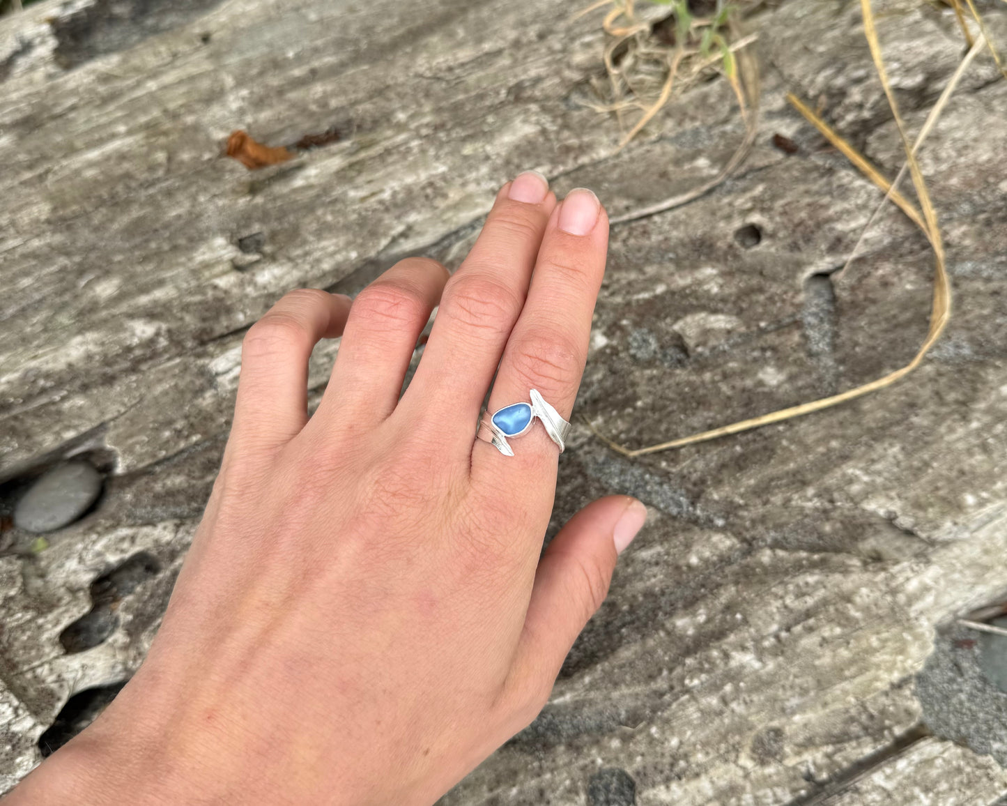 Kelp Garden-Cornflower